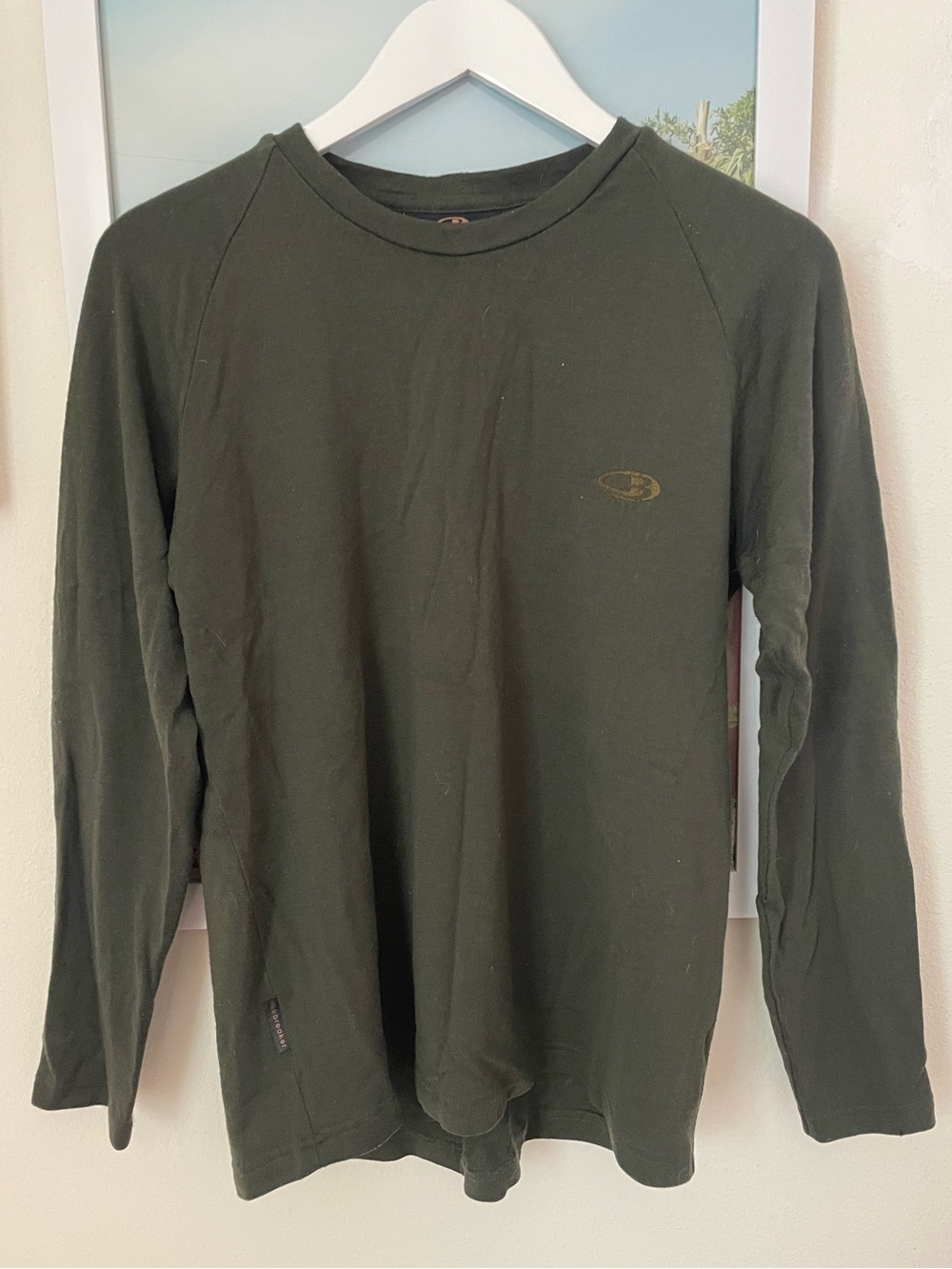 Icebreaker 100% Merino Wool New Zealand Long Sleeve Shirt Tee Size Large